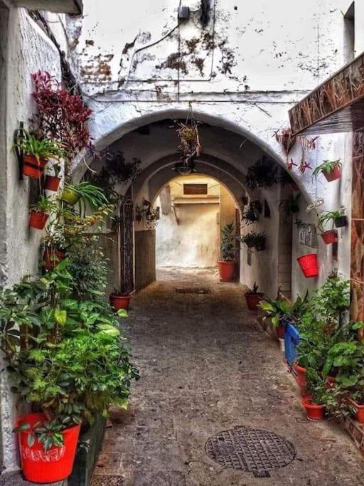 Belle Duplex With Terrace And Rooftop In The Heart Of Medina Tétouan Eksteriør billede